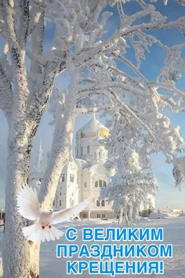 Открытки на Крещение 19 января: красивые, блестящие и необычные картинки с  надписями к празднику - МК Новосибирск