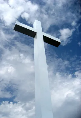 Крест из оливкового дерева средний купить в церковной лавке Данилова  монастыря