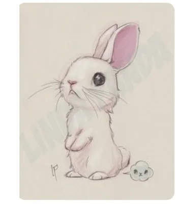 Мультяшный кролик для срисовки - 60 фото