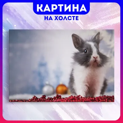 Картина на холсте Postermarket \"Милые кролики\" 40x40 см по цене 367 ₽/шт.  купить в Кемерове в интернет-магазине Леруа Мерлен