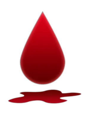Продукты, разжижающие кровь: диета для разжижения крови, описание народных  средств