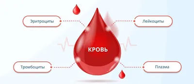 Файл 3D Текстура крови PBR 🎲・3D-печатная модель для загрузки・Cults