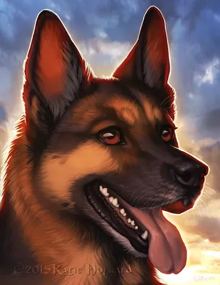 ТОП-10 самых крутых собак АТО - символов года