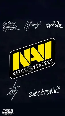 Natus Vincere | Лого игры, Винтажные цитаты, Обои для мобильных телефонов