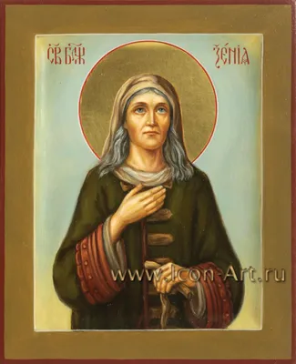 Ксения Петербуржская, Блаженная, Христа ради юродивая (XIX)