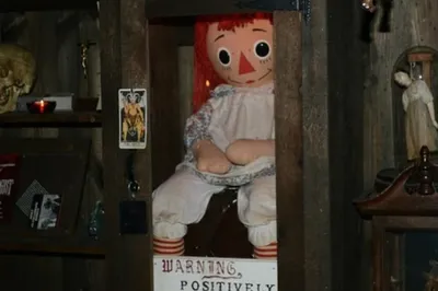 Кукла Аннабель сбежала из музея в США, в сети – паника - Аннабель Уоллис |  OBOZ.UA