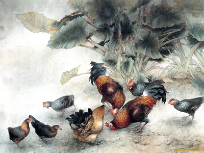 Курицы нарисованные рукой запятнанные Иллюстрация вектора - иллюстрации  насчитывающей иллюстрация, группа: 120108995