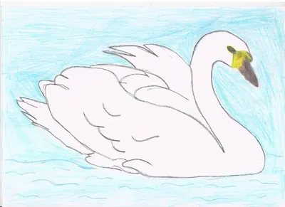 Царевна лебедь — раскраска для детей. Распечатать бесплатно.