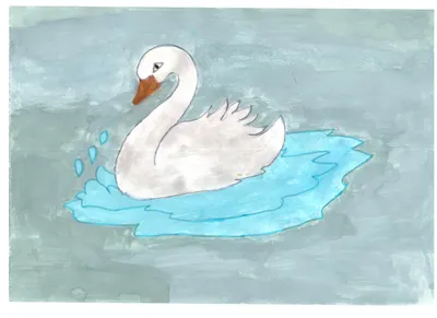Картины рисование по номерам Пара белых лебедей размер 40*50 в комплекте  входит краска акриловый и 2шт кисточки оптом: с доставкой в Москве