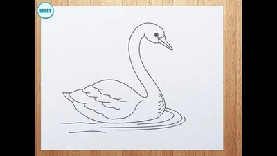 Как просто нарисовать лебедей на пруду - рисунок карандашами | Рисуем и  читаем с детьми | Дзен