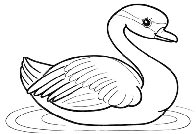 Рисунки лебедя для срисовки (86 фото)