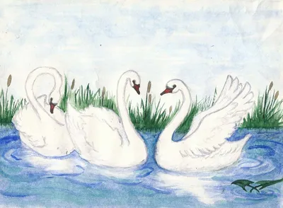 Картинки для срисовки мило маленьких лебедей (17 шт)