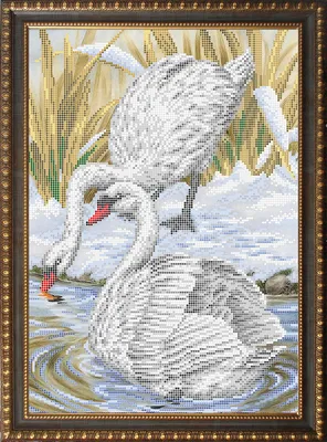 Рисунок Лебедя Для Срисовки (55 Фото)