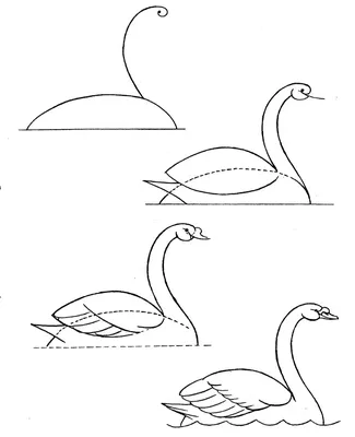 Рисунок лебедь для детей карандашом - 52 фото