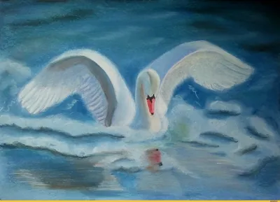 3 Белых лебедей брызгают в акварели. в открытом море, которое увеличивается  от птиц. Рисунок акварели. Иллюстрация штока - иллюстрации насчитывающей  изолировано, озеро: 178064444