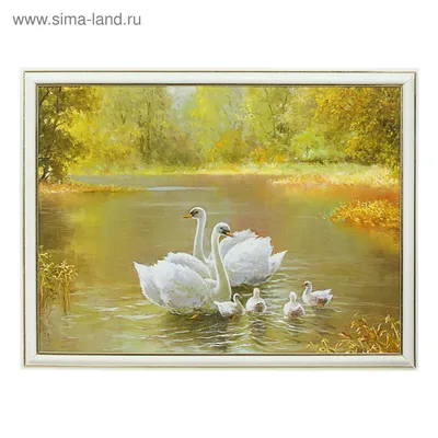 Белый лебедь на пруду... | Николай Патрин | про еду и прочее... | Дзен