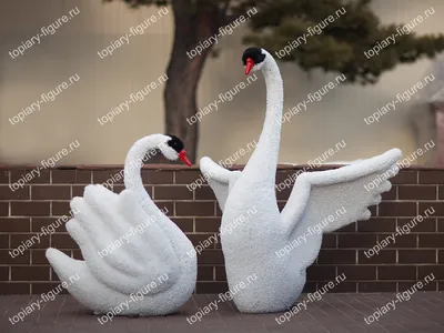 Скульптура «Лебеди» - Камьяр Тарикхи - Jose Art Gallery