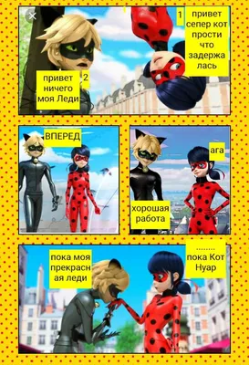 Прекрасный Кот Нуар и прекрасная Леди Баг | 🐞Russian Miraculers🐞 Amino