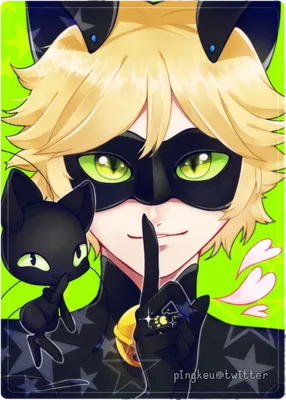 Фото Adrien Agreste / Chat Noir / Адриан Агрест / Супер-Кот и Plagg / Плагг  из мультсериала Miraculous: Tales of Ladybug and Cat Noir / удесные истории  ЛедиБаг и Кота Нуара, by nuenie