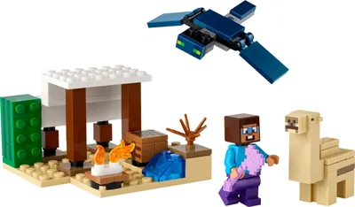 The Frog House - LEGO Minecraft set 21256