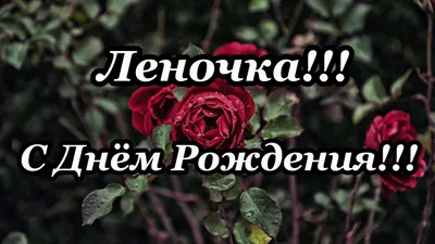 С днем рождения, Елена Серафимовна! / Кабачок — Форумы на Туристер.Ру