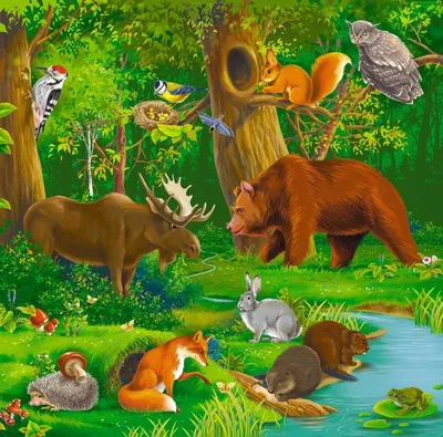 Картинки леса с животными фотографии
