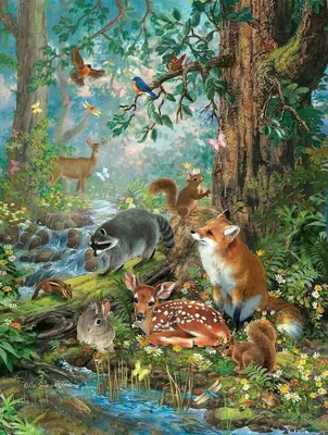 Животные в лесу рисунок - 62 фото