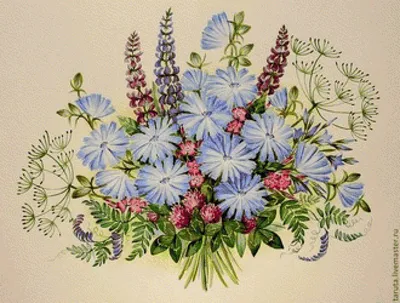 Летние цветы для цветочной и упаковки иллюстрации вектора картины безшовной  обложек. Иллюстрация вектора - иллюстрации насчитывающей план, приветствие:  173501118