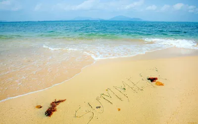 Лето, море, солнце, пляж | Пикабу
