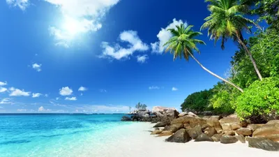 Лето, Солнце, Море, Пляж! ~ Открытка (плейкаст)
