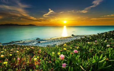 Лето море солнце (59 фото) - 59 фото