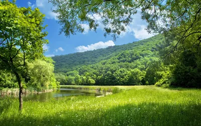 Обои природа, лето, отражение, вода, растительность на телефон Android,  1080x1920 картинки и фото бесплатно