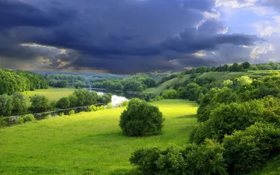 Солнечное лето, природа стоковое изображение. изображение насчитывающей  зеленый - 121124243