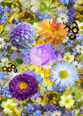 Самые красивые цветы лета (100 фото) 🔥 Прикольные картинки и юмор