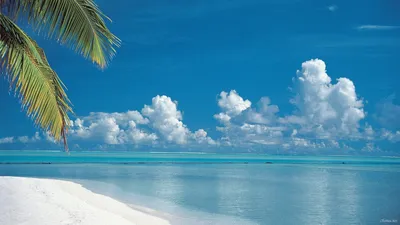 поэтичная и красивая морская сцена летом, природа, пляж, лето фон картинки  и Фото для бесплатной загрузки