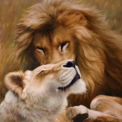 Комплект картин на холсте LOFTime Лев львенок львица 30*30 купить по цене  1335 ₽ в интернет-магазине Детский мир