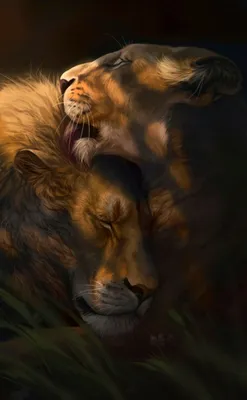 Идеи на тему «Лев, львица» (900+) | лев, татуировка в виде льва, татуировки