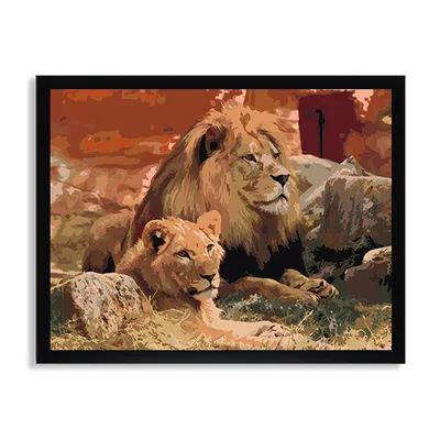 Картинки лев, львица, животные - обои 1280x1024, картинка №291856