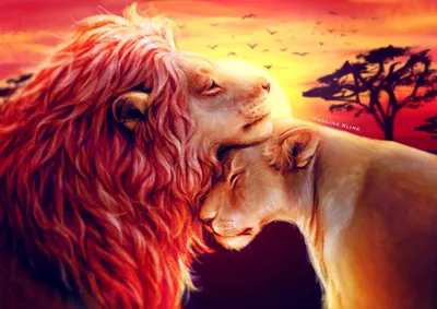 Картинки лев, львица, животные - обои 2560x1440, картинка №302654