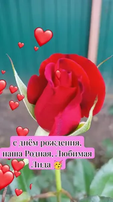Звезда шар именная, розовая, фольгированная с надписью \"С днём рождения,  Лида!\" - купить в интернет-магазине OZON с доставкой по России (900121383)