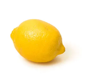 Лимон на гидропонике. Как вырастить лимон на гидропонике?