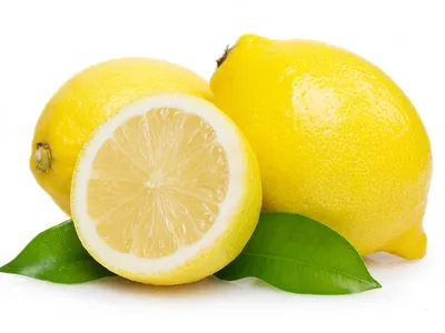 ЛИМОН \"АБХАЗСКИЙ\" (НОВО-АФОНСКИЙ) (Citrus limon \"Abkhazian\")