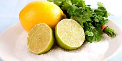 Выращивание лимона в домашних условиях. Как вырастить комнатный лимон из  косточки – блог интернет-магазина Порядок.ру
