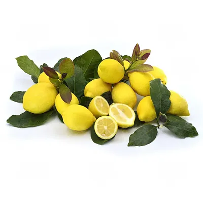 Ферментированный лимон солью - рецепт, польза и вред | Тайна Дзен | Дзен