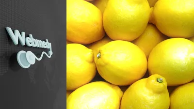 Цедра лимона С.Пудов, 10 г — Купить по выгодной цене в интернет-магазине  С.Пудовъ