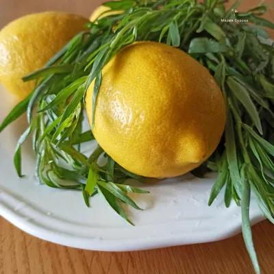 Чем лимон может быть опасен для здоровья: 10 последствий — Ferra.ru