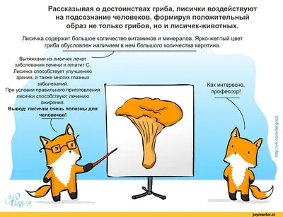МБУ \"ЦБС Тамбовского муниципального округа\" | Интересные факты о лисичках
