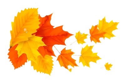 Осенние листья элемент рисованной иллюстрации слоистый материал листа PNG ,  кленовый лист клипарт, элемент осенних листьев, Осенние листья PNG картинки  и пнг PSD рисунок для бесплатной загрузки