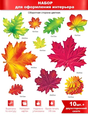 Осенние листья из фетра 5 см Клён Набор 50 штук - купить с доставкой по  выгодным ценам в интернет-магазине OZON (603710855)
