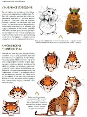 25 ярких и увлекательных мультфильмов про животных - Лайфхакер